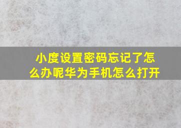 小度设置密码忘记了怎么办呢华为手机怎么打开