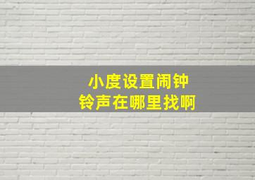 小度设置闹钟铃声在哪里找啊