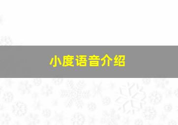 小度语音介绍