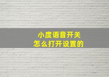 小度语音开关怎么打开设置的