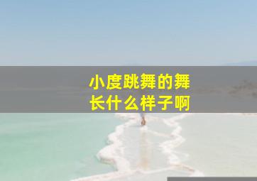 小度跳舞的舞长什么样子啊