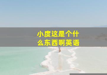 小度这是个什么东西啊英语