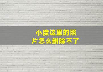 小度这里的照片怎么删除不了