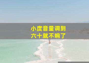 小度音量调到六十就不响了