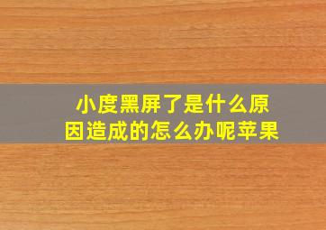 小度黑屏了是什么原因造成的怎么办呢苹果