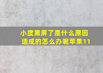 小度黑屏了是什么原因造成的怎么办呢苹果11