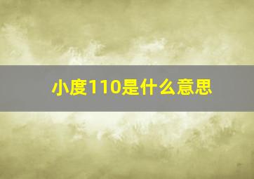 小度110是什么意思