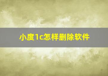 小度1c怎样删除软件