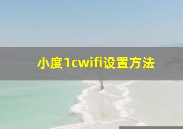 小度1cwifi设置方法