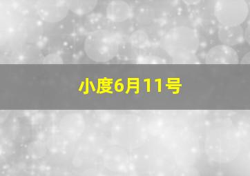 小度6月11号