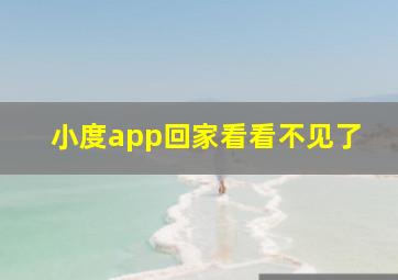 小度app回家看看不见了