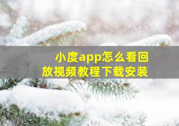 小度app怎么看回放视频教程下载安装