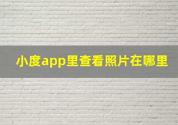 小度app里查看照片在哪里