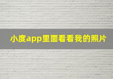 小度app里面看看我的照片