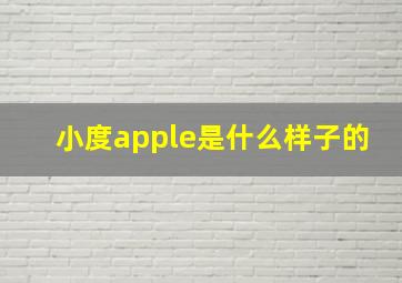 小度apple是什么样子的