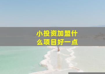 小投资加盟什么项目好一点