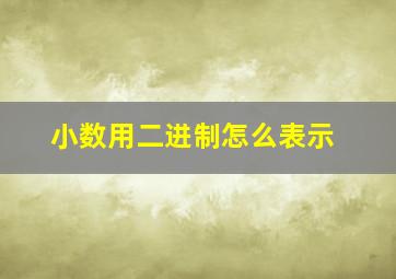 小数用二进制怎么表示