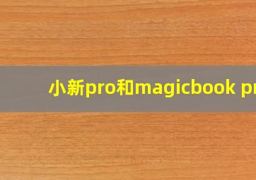 小新pro和magicbook pro