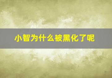 小智为什么被黑化了呢