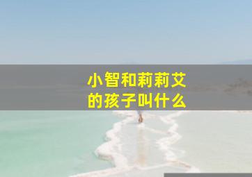 小智和莉莉艾的孩子叫什么