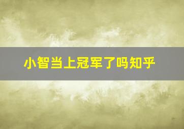 小智当上冠军了吗知乎