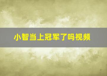 小智当上冠军了吗视频