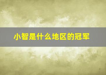 小智是什么地区的冠军