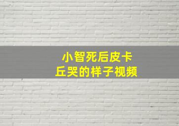 小智死后皮卡丘哭的样子视频