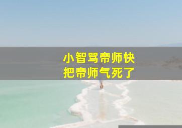 小智骂帝师快把帝师气死了