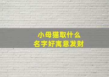 小母猫取什么名字好寓意发财