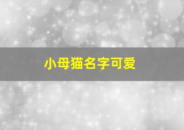 小母猫名字可爱