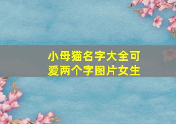 小母猫名字大全可爱两个字图片女生