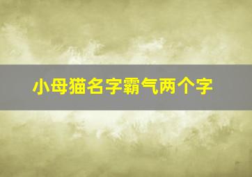 小母猫名字霸气两个字