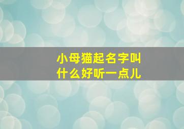 小母猫起名字叫什么好听一点儿