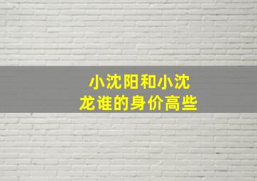 小沈阳和小沈龙谁的身价高些