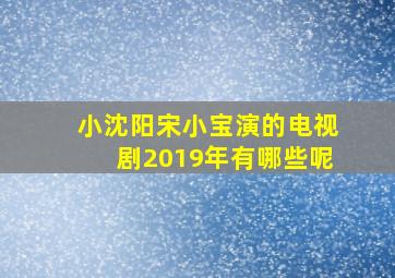 小沈阳宋小宝演的电视剧2019年有哪些呢