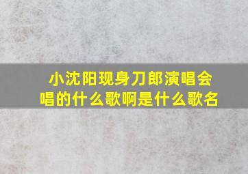 小沈阳现身刀郎演唱会唱的什么歌啊是什么歌名