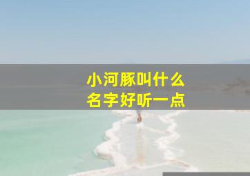 小河豚叫什么名字好听一点