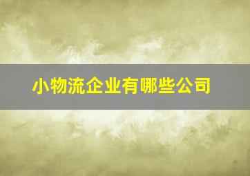 小物流企业有哪些公司