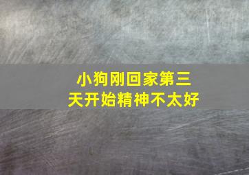 小狗刚回家第三天开始精神不太好