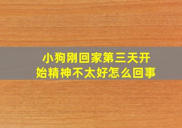 小狗刚回家第三天开始精神不太好怎么回事