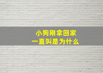 小狗刚拿回家一直叫是为什么