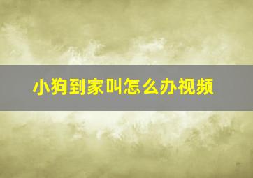 小狗到家叫怎么办视频