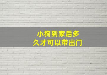 小狗到家后多久才可以带出门