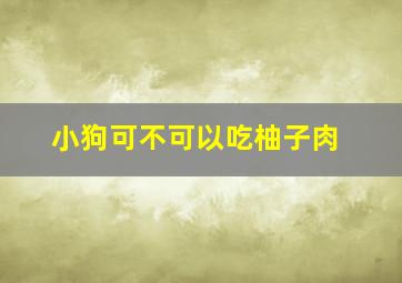 小狗可不可以吃柚子肉