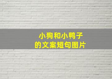 小狗和小鸭子的文案短句图片