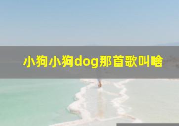 小狗小狗dog那首歌叫啥