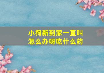 小狗新到家一直叫怎么办呀吃什么药