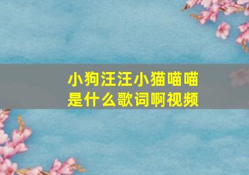 小狗汪汪小猫喵喵是什么歌词啊视频