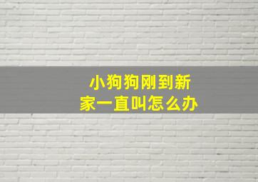 小狗狗刚到新家一直叫怎么办